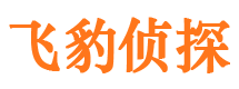 沙湾外遇调查取证